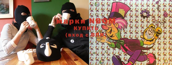 гашик Верея